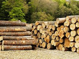 WOOD INDUSTRY & ALLIED PRODUCTS