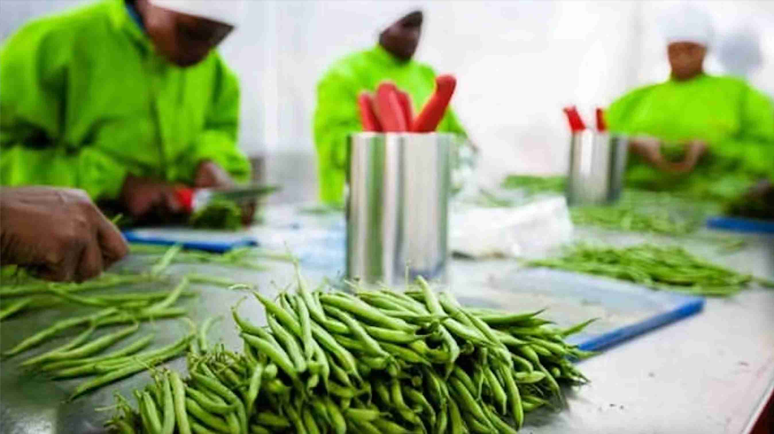 AGRO BASED FOOD PROCESSING
