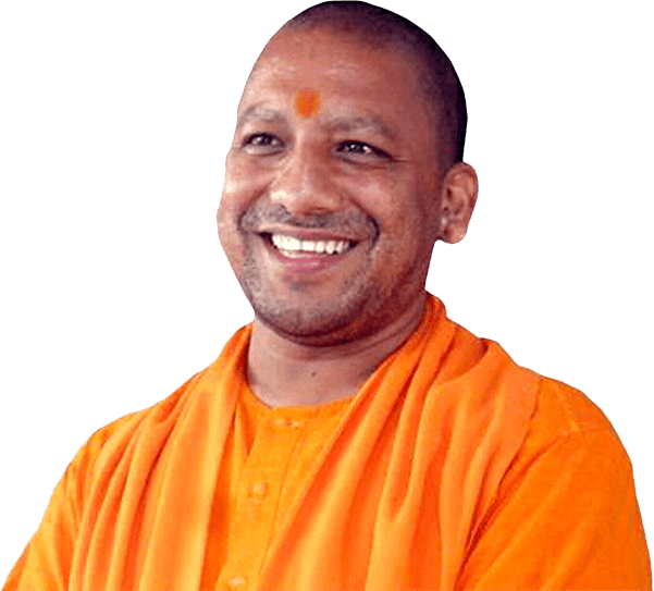 yogi